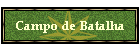 Campo de Batalha